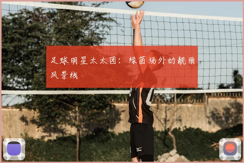 足球明星太太团：绿茵场外的靓丽风景线
