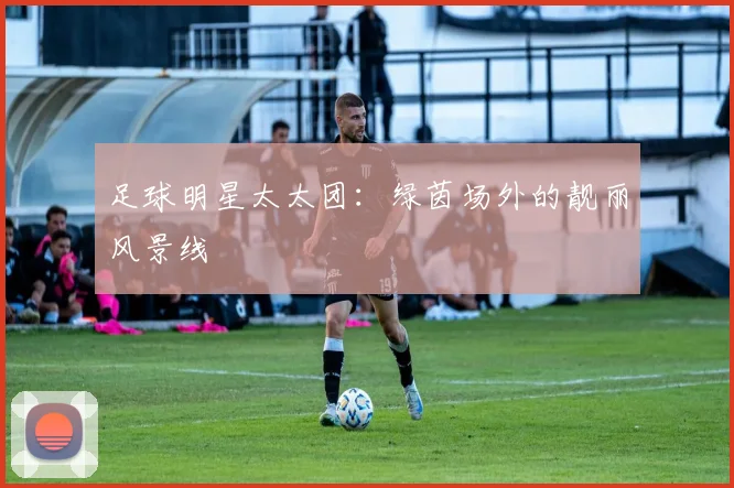 足球明星太太团：绿茵场外的靓丽风景线